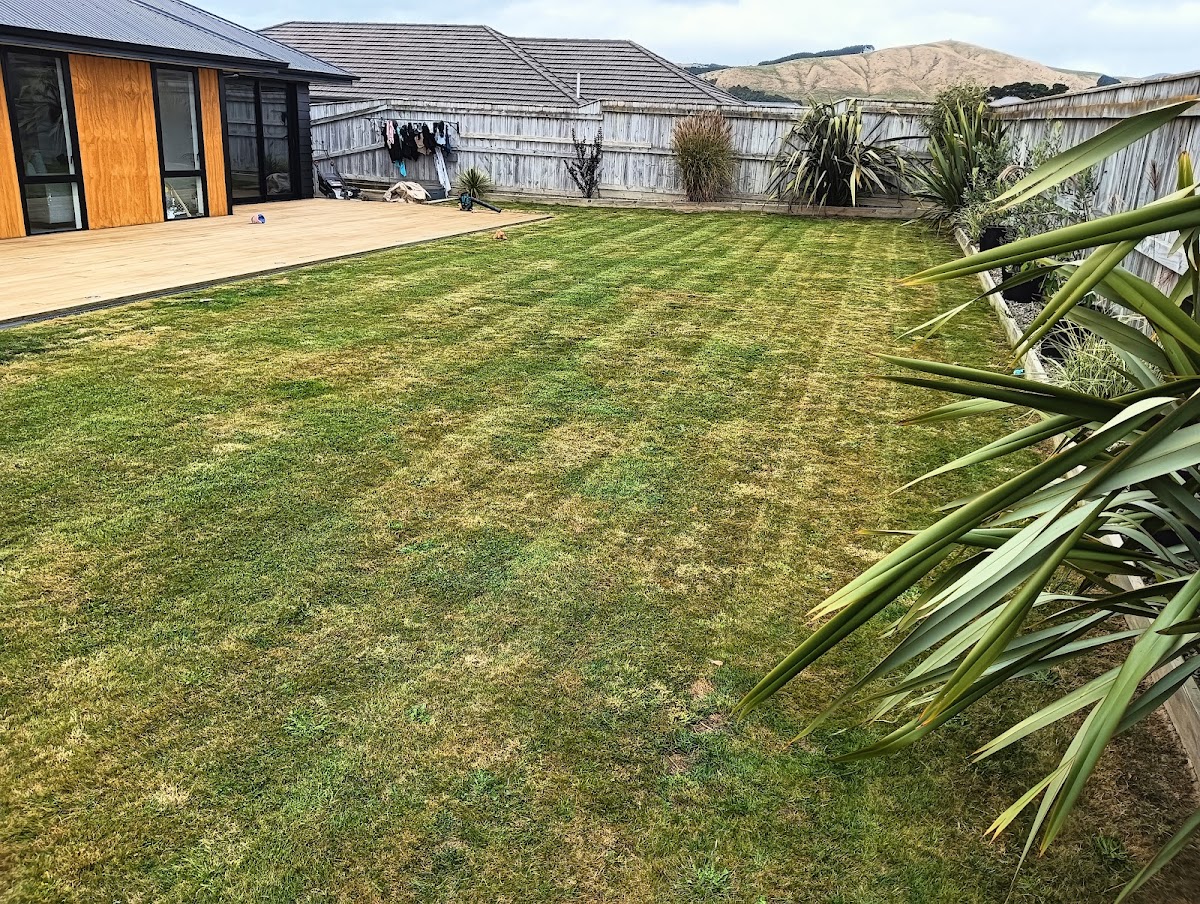 A striped Mowmentum lawn with the Manawatu hills behind it