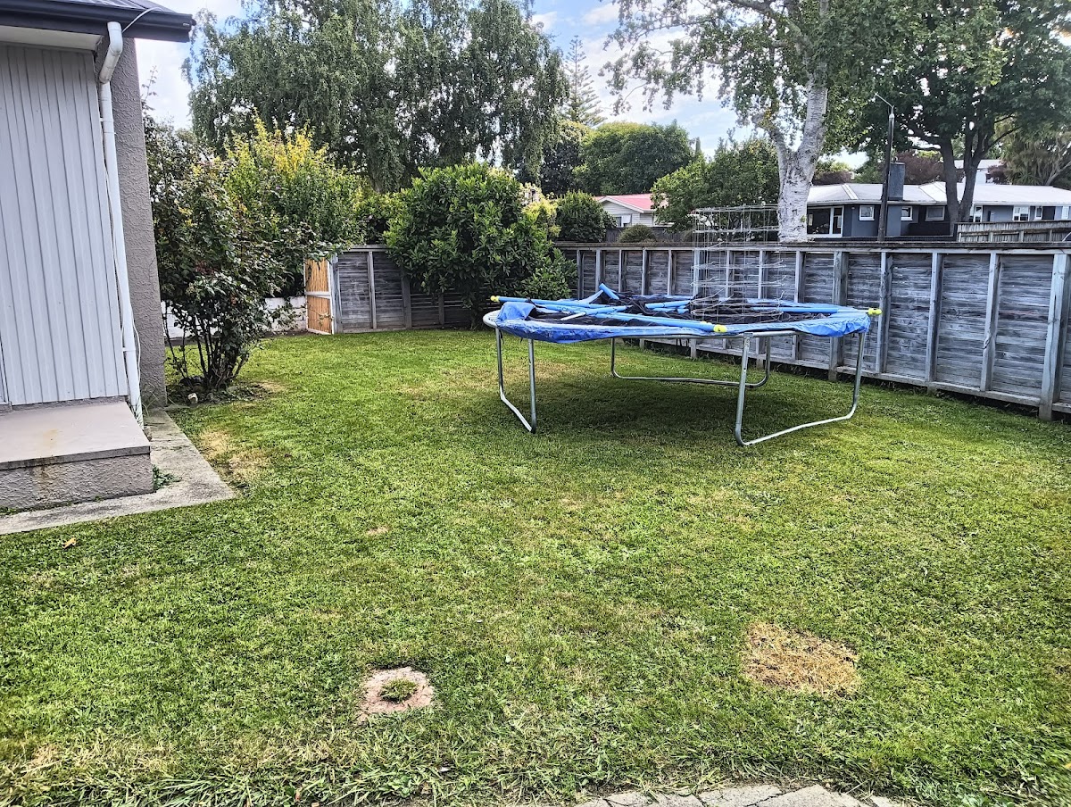 Mown family backyard with room to play