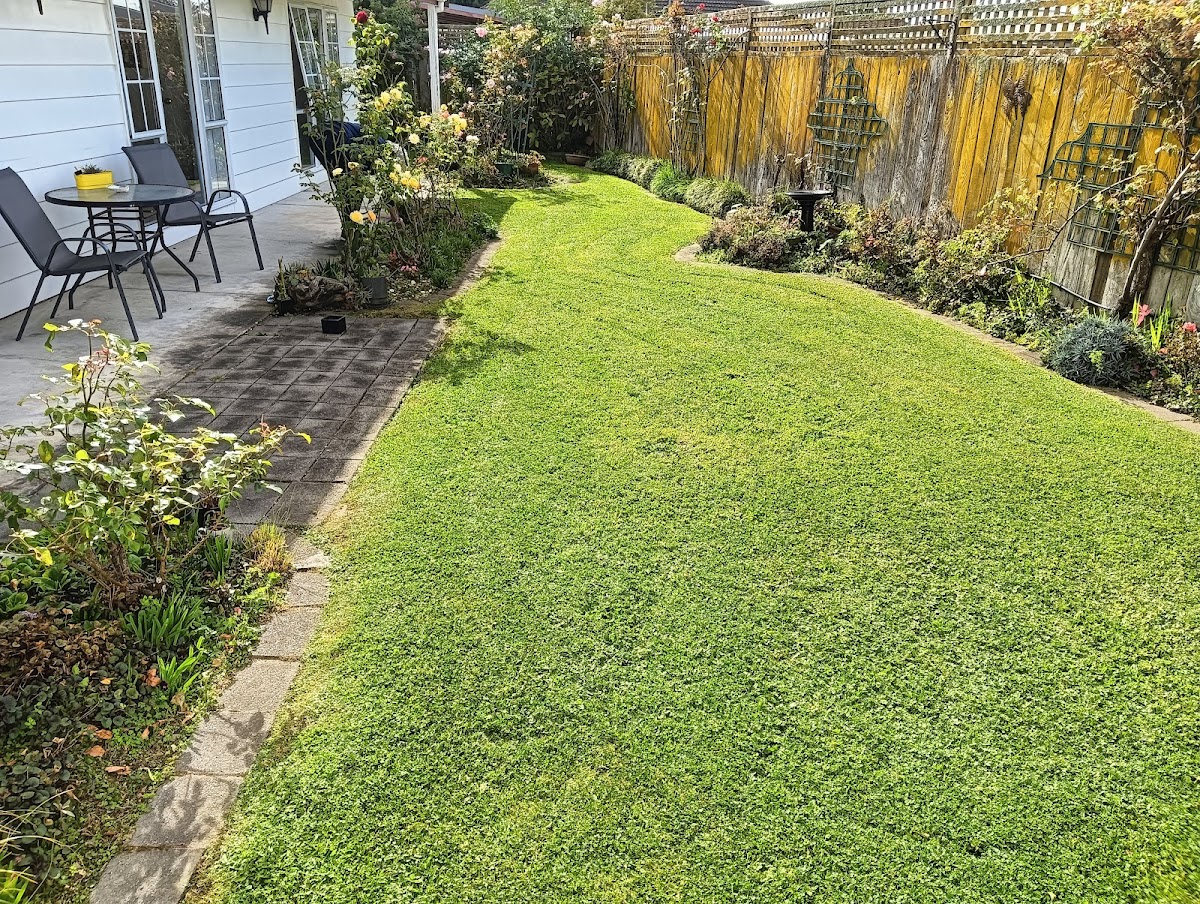 Tidy green lawn beside a patio and rose garden